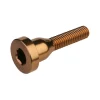 Burgtec Stems & Parts|Headsets & Spacers|Top Cap Bolt (Kash Bronze)