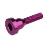 Burgtec Stems & Parts|Headsets & Spacers|Top Cap Bolt (Purple Rain)