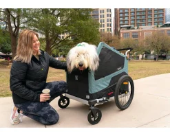 Burley Racks, Fenders, & Trailers|Bark Ranger Pet Bike Trailer & Stroller (Blue) (XL)
