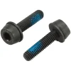 Campagnolo Brakes|H11 Disc Brake Caliper Mounting Bolts (Black) (Flat Mount) (19mm)