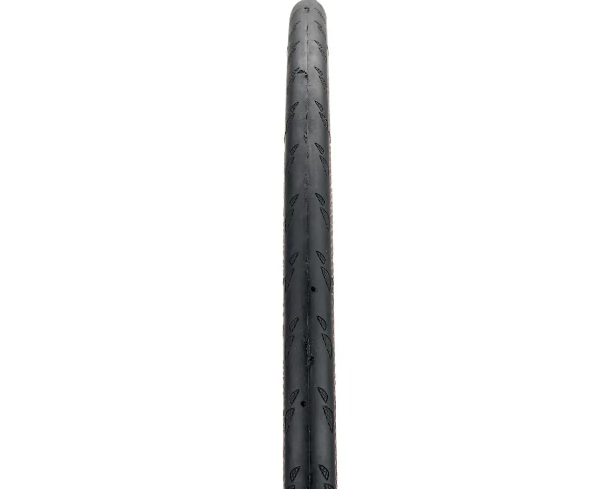 Continental Tires|Holiday Shopping|Gator Hardshell Road Tire (Black) (700c) (23mm) (Folding) (DuraSkin/PolyX Breaker)