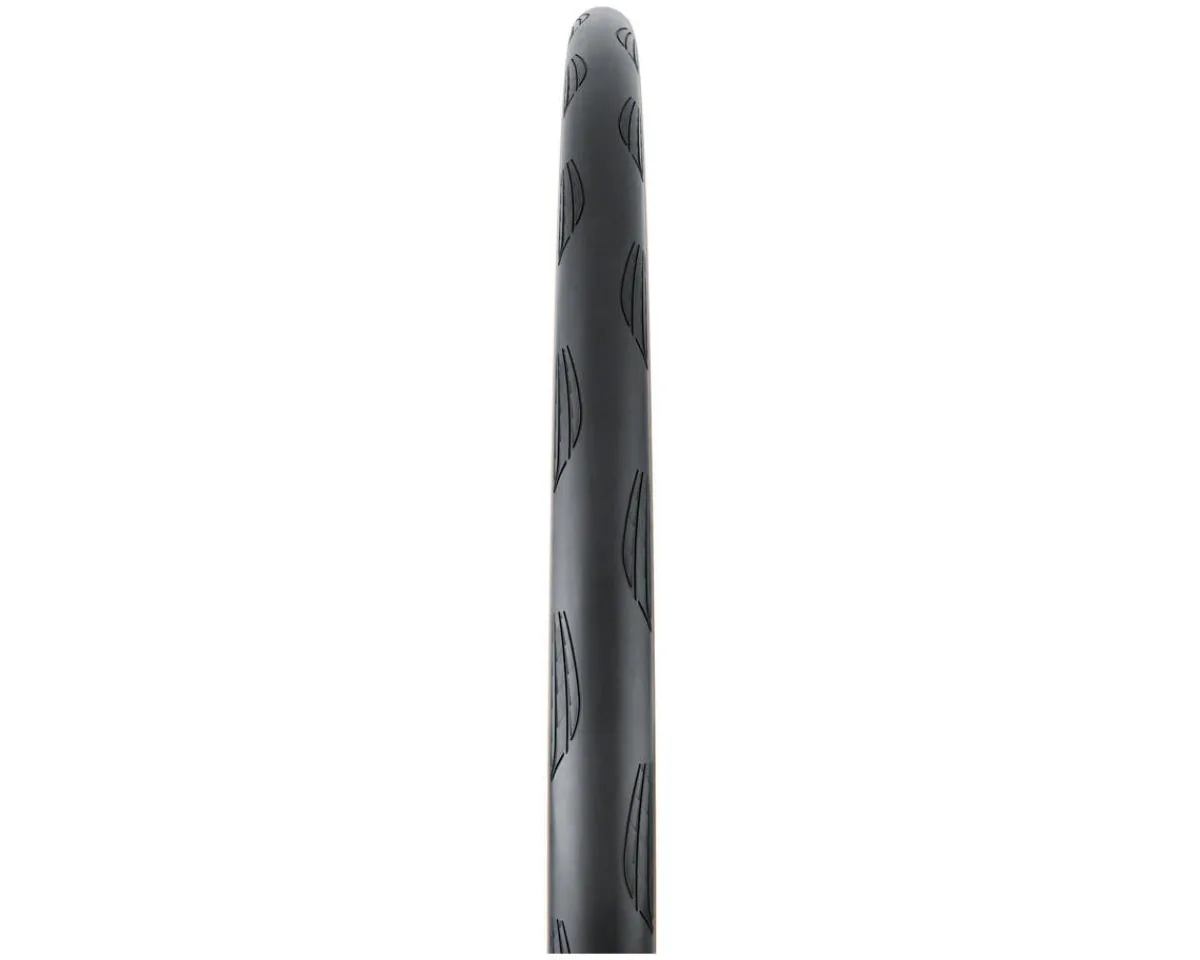 Continental Tires|Holiday Shopping|Grand Prix Road Tire (Black/Transparent) (700c) (28mm) (Folding) (BlackChili)