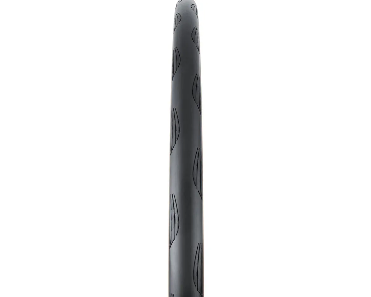 Continental Holiday Shopping|Grand Prix TR Tubeless Road Tire (Black/Transparent) (700c) (25mm) (BlackChili)