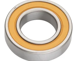 DT Swiss Wheels & Parts|Bearings|6902 Bearing (Sinc Ceramic) (1)