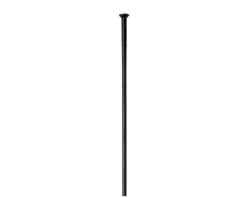 DT Swiss Wheels & Parts|Champion Spokes (Black) (Straight Pull) (2.0/14G) (Box of 100) (278mm)