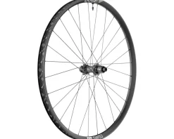 DT Swiss Wheels & Parts|E 1900 Spline 30 Rear Wheel (Black) (6-Bolt) (Shimano Micro Spline) (12 x 148mm (Boost)) (29")