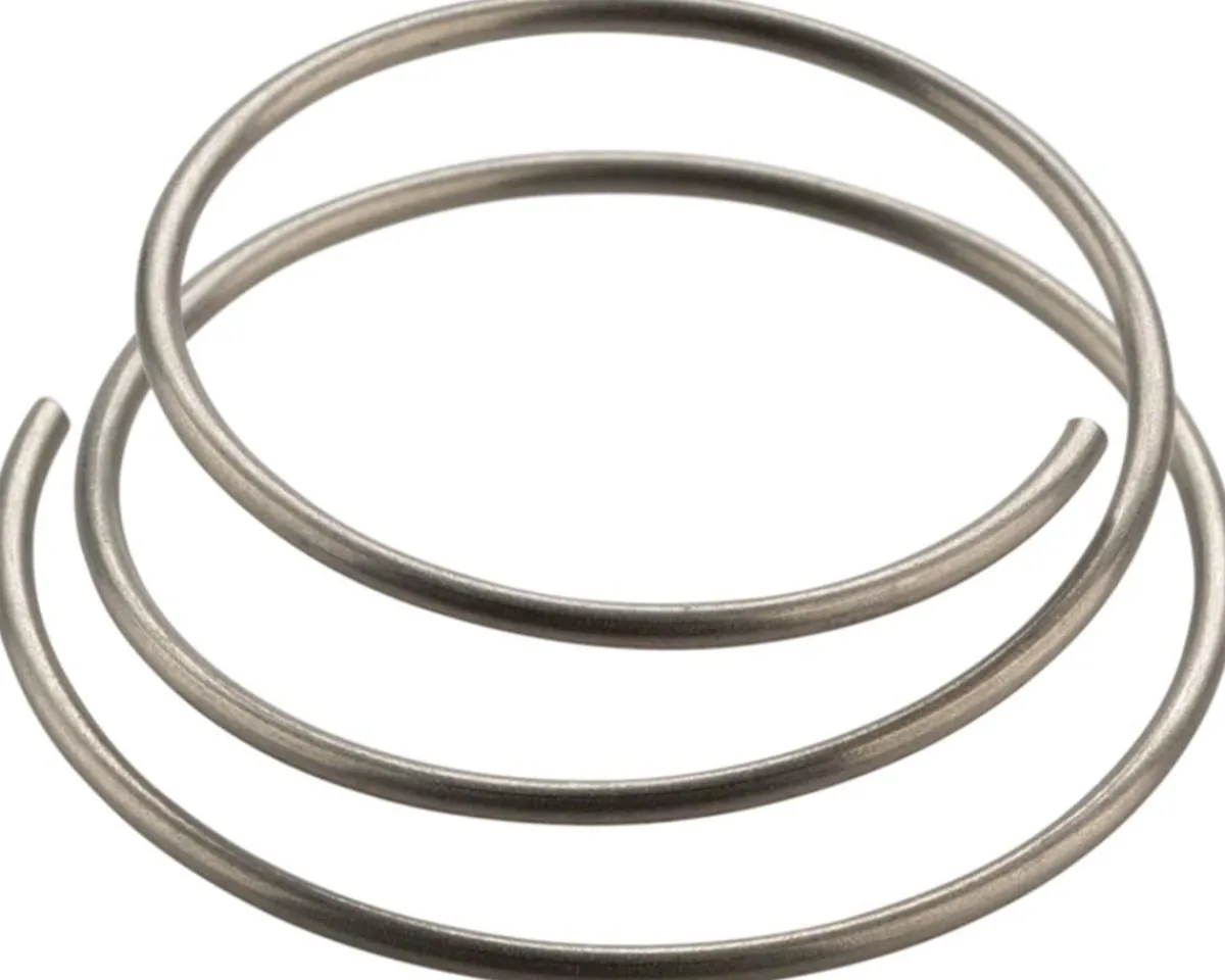 DT Swiss Wheels & Parts|Star Ratchet Spring (For All Star Ratchet Hubs)