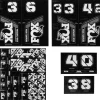 Fox Suspension Suspension|Custom Decal Kit (Battleship Grey)