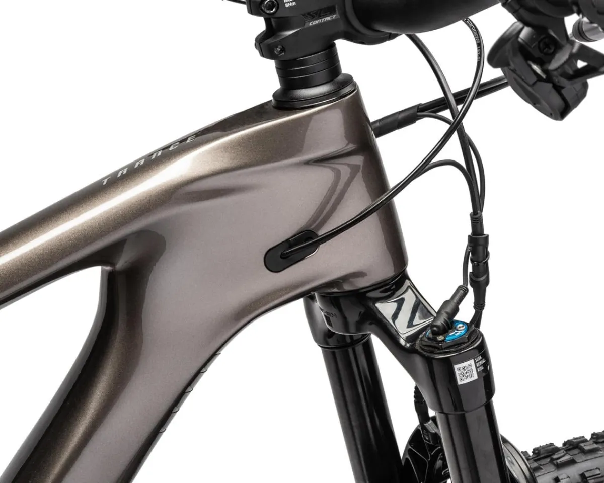 Giant Mountain Bikes|Giant Bikes|Trance Advanced Pro 29 2 Mountain Bike (Metal/Black/Chrome) (S) (Shimano SLX)