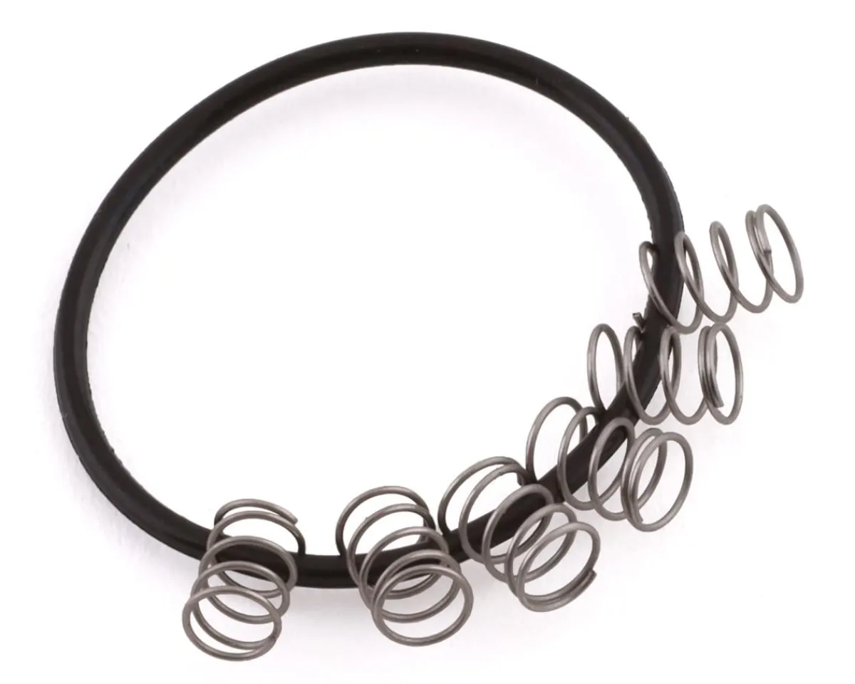 Industry Nine Wheels & Parts|Pawl Spring Kit for Torch Hub