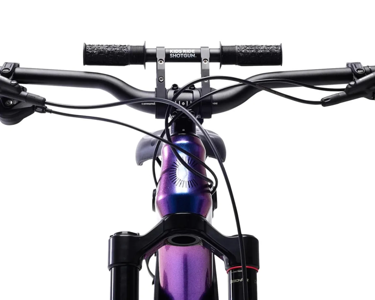 Kids Ride Shotgun Racks, Fenders, & Trailers|2.0 Child Seat & Handlebar Combo (Black)