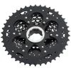 Microshift Cassettes|H10 Cassette (Black) (10 Speed) (11-42T)