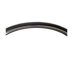 Panaracer Tires|Pasela Road Tire (Tan Wall) (27
