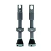 Peaty's Tubeless Tire Tools|Tubeless Accessories|Alloy Presta Valve Stems (Slate) (42mm) (Pair)
