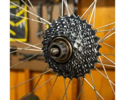 Pedro's Tools|Freewheel Socket (Multi-Speed) (12-Spline x 23mm)