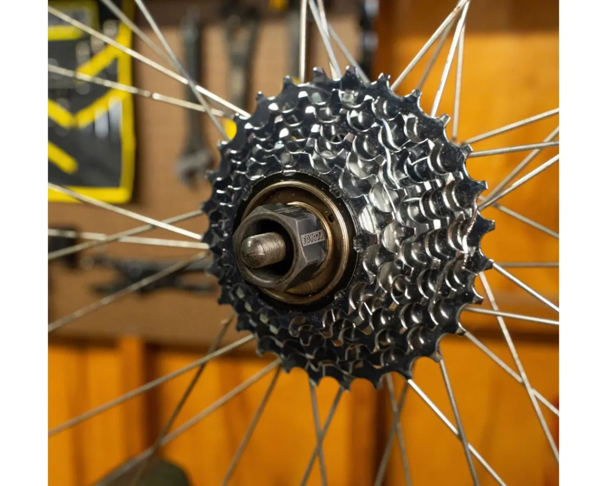 Pedro's Tools|Freewheel Socket (Multi-Speed) (12-Spline x 23mm)