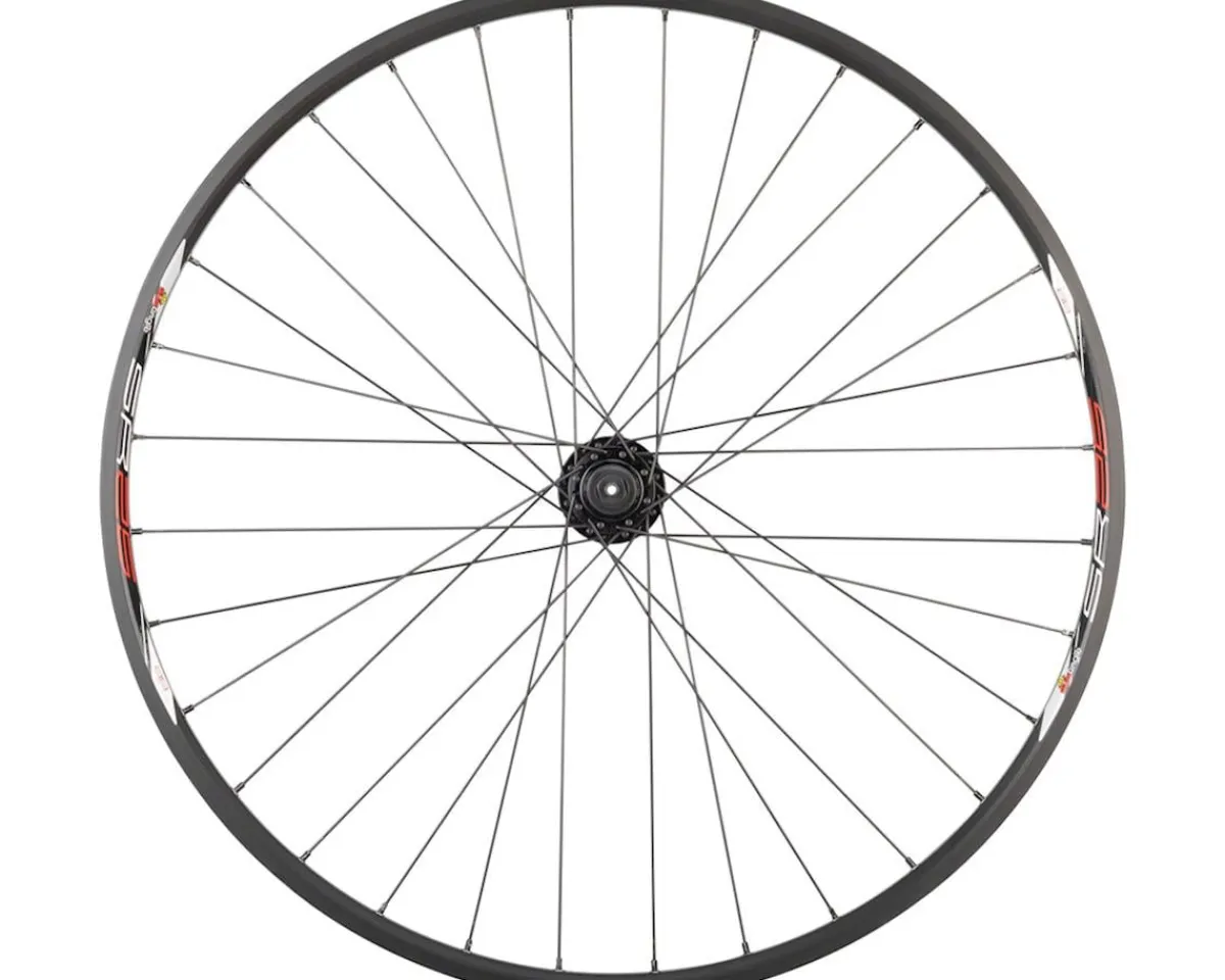 Quality Wheels Wheels & Parts|Value Double Wall Series Disc Front Wheel (Black) (QR x 100mm) (29") (6-Bolt) (Tubeless)