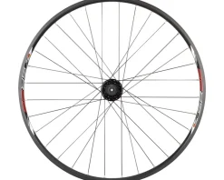 Quality Wheels Wheels & Parts|Value Double Wall Series Disc Rear Wheel (Black) (Shimano HG) (QR x 135mm) (26