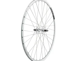Quality Wheels Wheels & Parts|Value Double Wall Series Track Rear Wheel (Silver) (Freewheel) (10 x 120mm) (700c) (Sealed) (Flip-Flop Hub)
