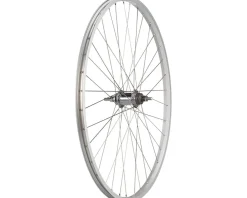 Quality Wheels Wheels & Parts|Value Single Wall Series Coaster Brake Rear Wheel (700c) (3/8