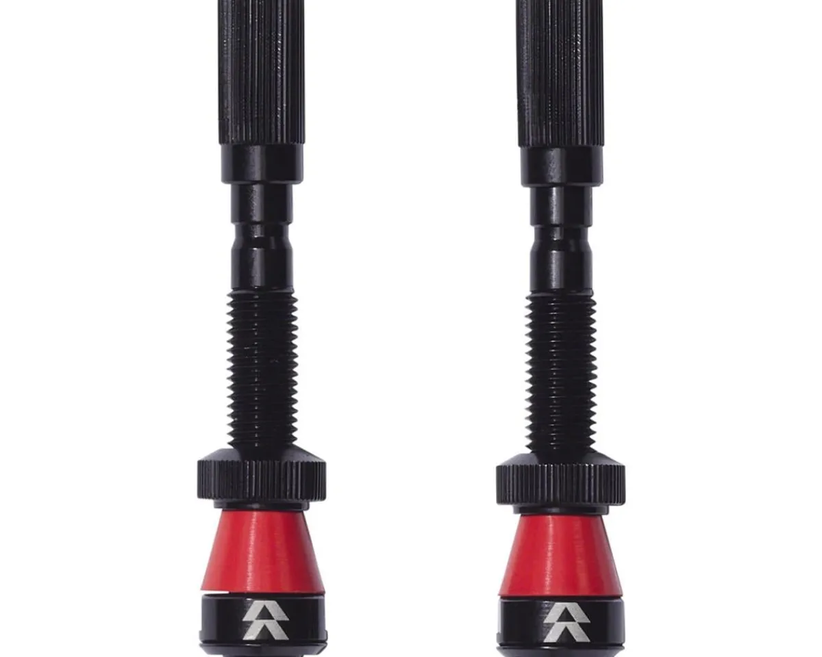 Reserve Wheels Tubeless Tire Tools|Tubeless Accessories|Fillmore Tubeless Valves (Black) (Pair) (50mm)