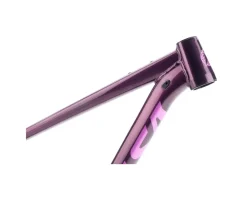 Salsa Frames|Mountain Bikes|Timberjack Frame (Deep Orchid) (29/27.5
