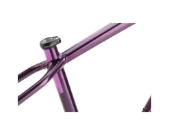 Salsa Frames|Mountain Bikes|Timberjack Frame (Deep Orchid) (29/27.5