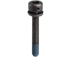 Shimano Brakes|Flat Mount Disc Brake Caliper Fixing Bolts (Black) (31.8mm)