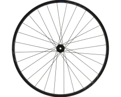Shimano Wheels & Parts|Holiday Shopping|RS171 Disc Wheel (Black) ( HG 11/12) (Rear) (12 x 142mm) (700c) (Centerlock)