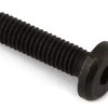 Shimano E-Bike Parts|STEPS EW-SW100 Fixing Bolt (Black) (Single) (M3)