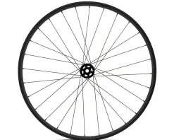 Specialized Wheels & Parts|Replacement Parts|Control OE Front MTB Wheel (Black) (15 x 110mm) (29")