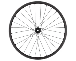 Specialized Wheels & Parts|Roval Traverse HD 240 Carbon Disc Wheel (Carbon/Black) (Front) (15 x 110mm (Boost)) (29") (6-Bolt) (Tubeless)
