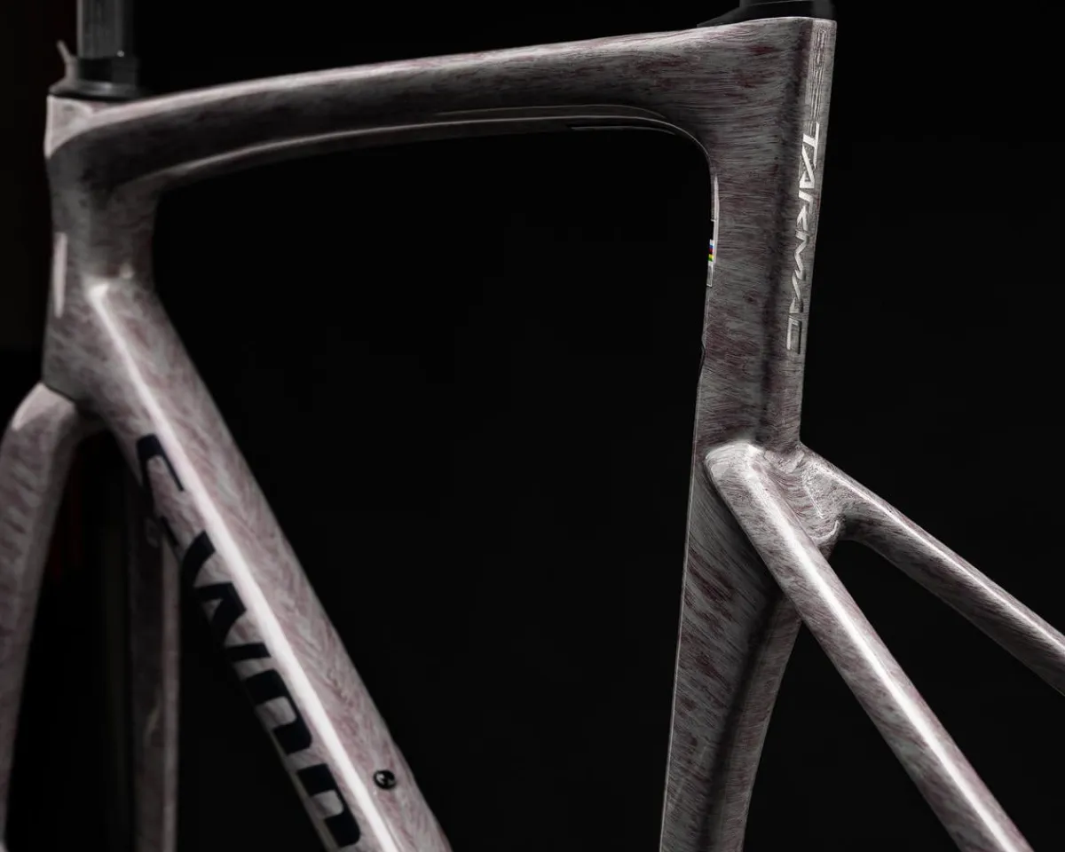 Specialized Frames|Road Bikes|S-Works Tarmac SL9 Frameset (Gloss Dolomite Metallic/Chrome) (44cm)