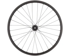 Specialized Wheels & Parts|Traverse HD 350 Wheel (Carbon/Black) (Front) (15 x 110mm (Boost)) (29
