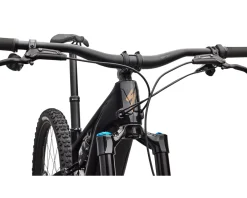 Specialized Mountain Bikes|E-Bikes|Turbo Levo R Expert (Gloss Carbon/Burnt Gold Metallic) (S1)