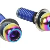 SRAM Brakes|Disc Brake Caliper Mounting Bolts (Rainbow) (Stainless)