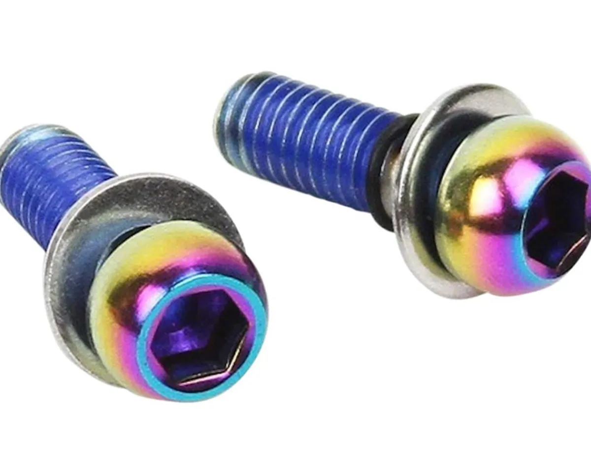 SRAM Brakes|Disc Brake Caliper Mounting Bolts (Rainbow) (Stainless)