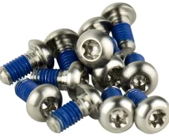 SRAM Brakes|Titanium Rotor Bolt Kit (Silver) (T25) (Set of 12)