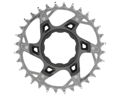 SRAM Chainrings & Accessories|XX T-Type TQ E-Bike Chainring (12 Speed) (Direct Mount) (Aluminum/Steel) (32T)