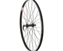 Sta-Tru Wheels & Parts|Front Wheel (Black) (QR x 100mm) (26")