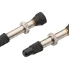 Sun Ringle Tubeless Tire Tools|STR Tubeless Valve Brass (Silver) (Pair) (35mm)