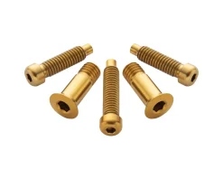 Terske Derailleurs & Parts|Rear Derailleur Bolt Kit (Gold) (Shimano A)