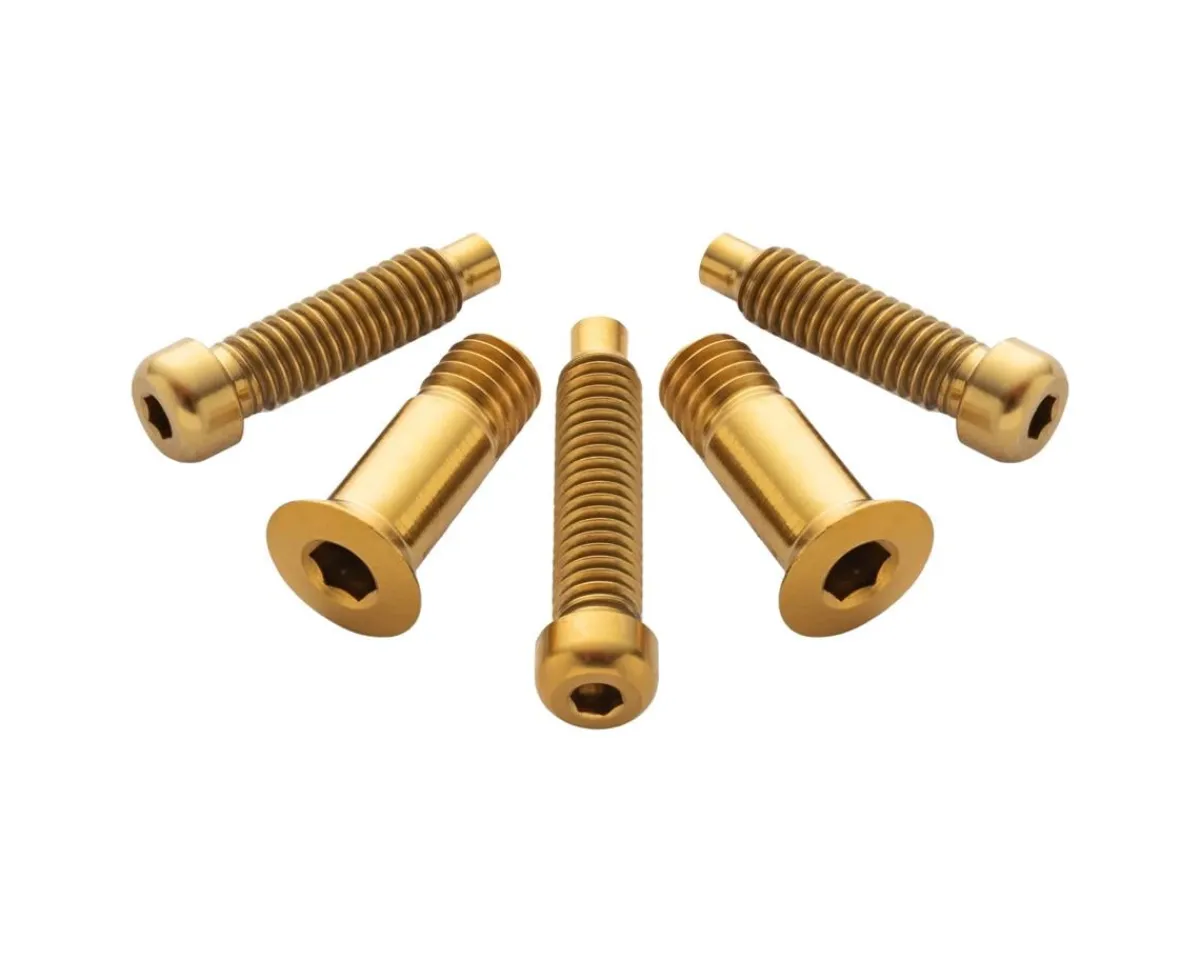 Terske Derailleurs & Parts|Rear Derailleur Bolt Kit (Gold) (Shimano A)