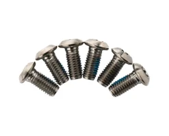 TRP Brakes|Titanium Rotor Bolts (6 Pack) (T25)