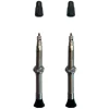 Vittoria Tubeless Tire Tools|Singleway Tubeless Brass Valve (Silver/Black) (Pair) (60mm)
