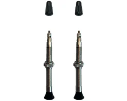 Vittoria Tubeless Tire Tools|Singleway Tubeless Brass Valve (Silver/Black) (Pair) (60mm)