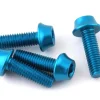 Wolf Tooth Components Bottle Cages & Mounts|Aluminum Bottle Cage Bolts (Teal) (4-Pack)