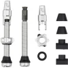 Wolf Tooth Components Tubeless Tire Tools|Tubeless Accessories|Tubeless Valve Stem Kit For Clik Valve (Raw Silver) (44mm)