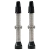 WTB Tubeless Tire Tools|Tubeless Accessories|TCS Standard Tubeless Valves (Silver) (Pair) (34mm)