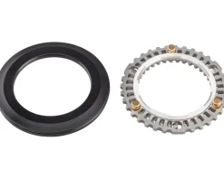 Zipp Wheels & Parts|Cognition NSW Clutch Assembly and Seal (Rear Hub) (Disc Brake/Rim Brake) (Generation 2)